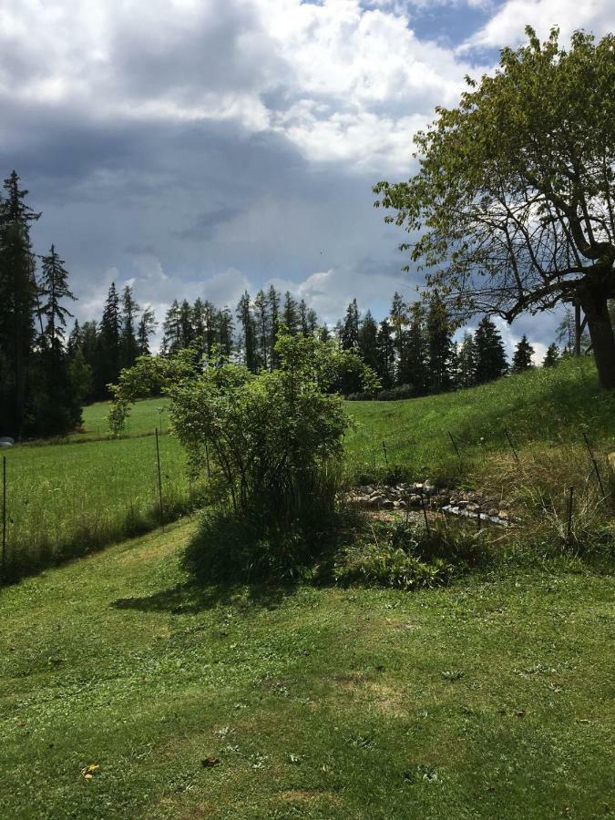 Sankt Marein bei KnittelfeldHaus Katrin别墅 外观 照片